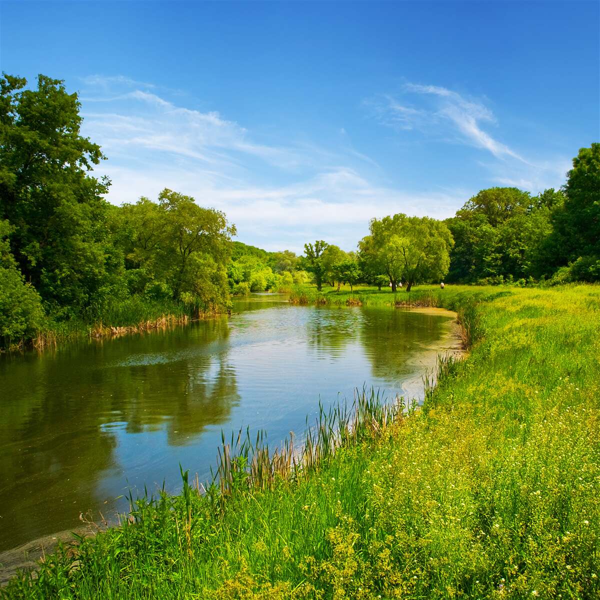 Fotobehang een groene weide waar kalm water doorheen stroomt
