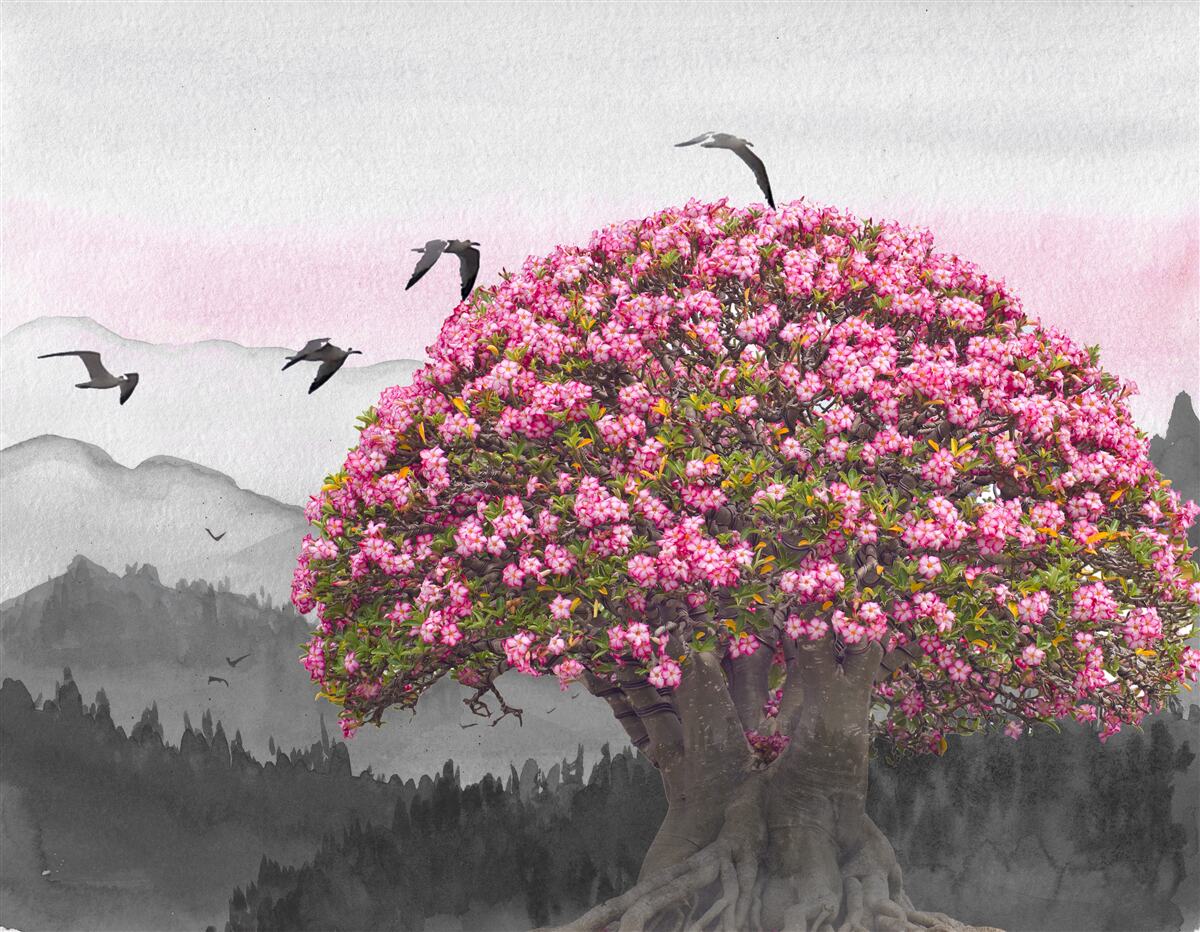 Fotobehang vogels vliegen over een bloeiende boom