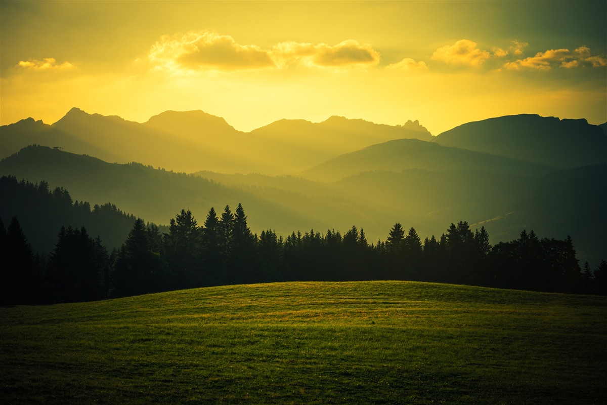 Fotobehang verbazingwekkende gele zonsondergang in een rokerig bergbos
