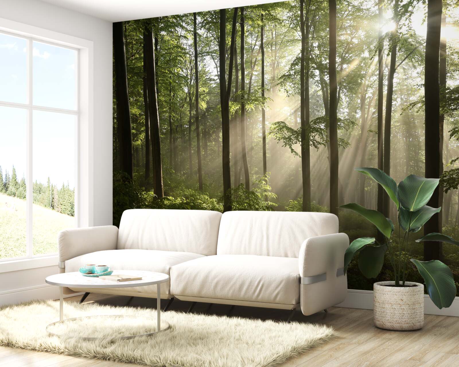 Fotobehang zonnestralen dringen door de mist in het bos