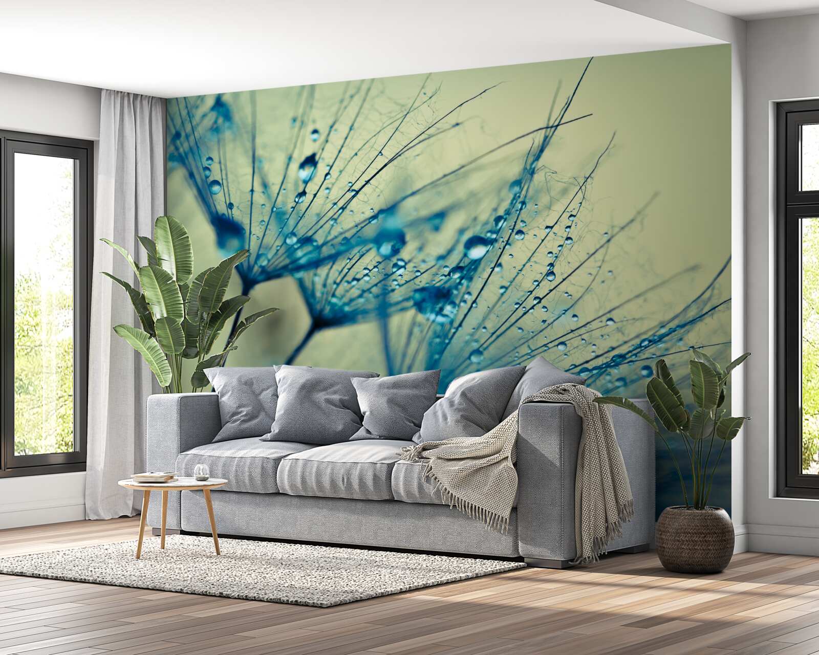 Fotobehang paardenbloem versierd met waterdruppels