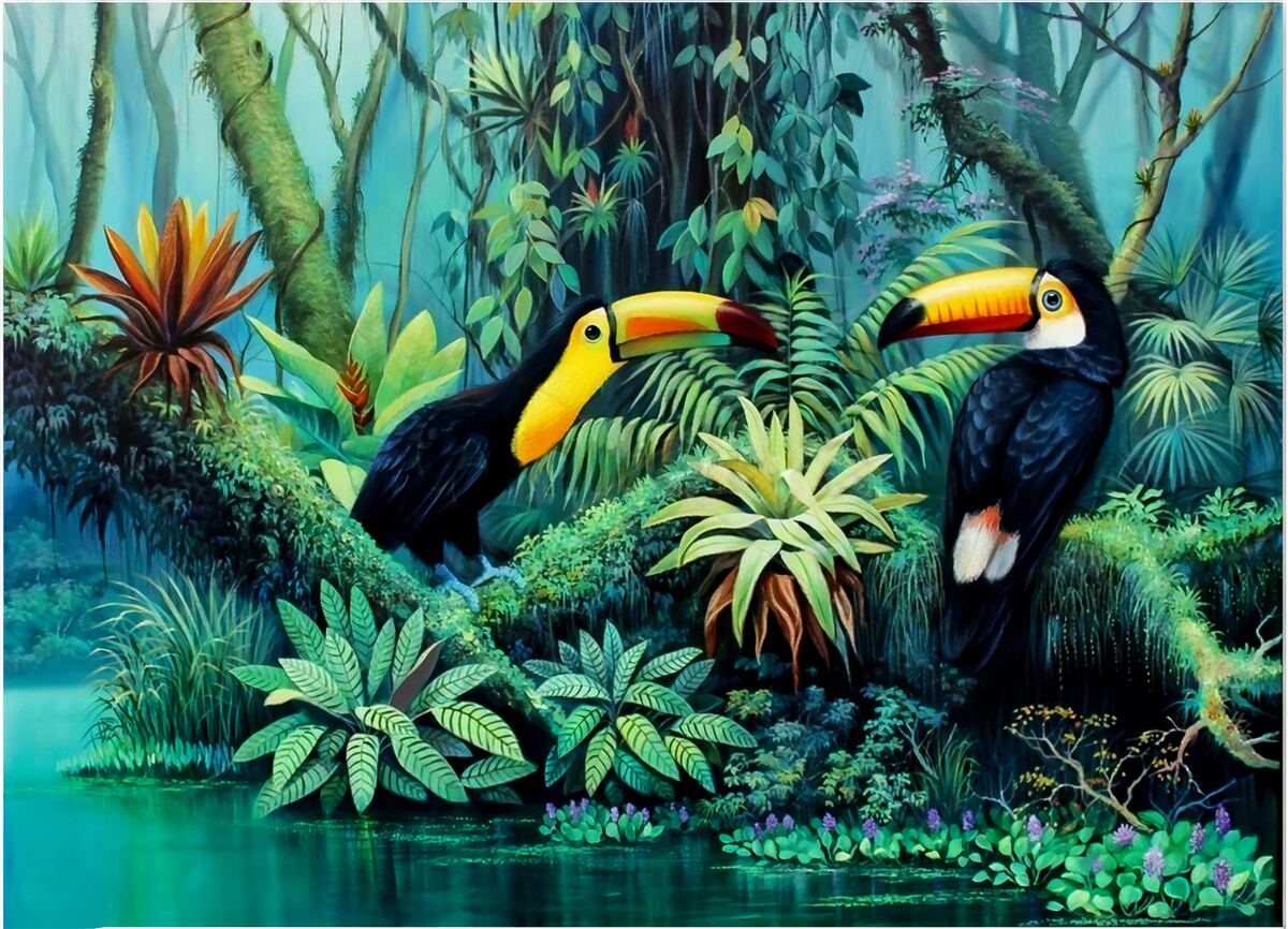Fotobehang tropisch bos vogelfauna