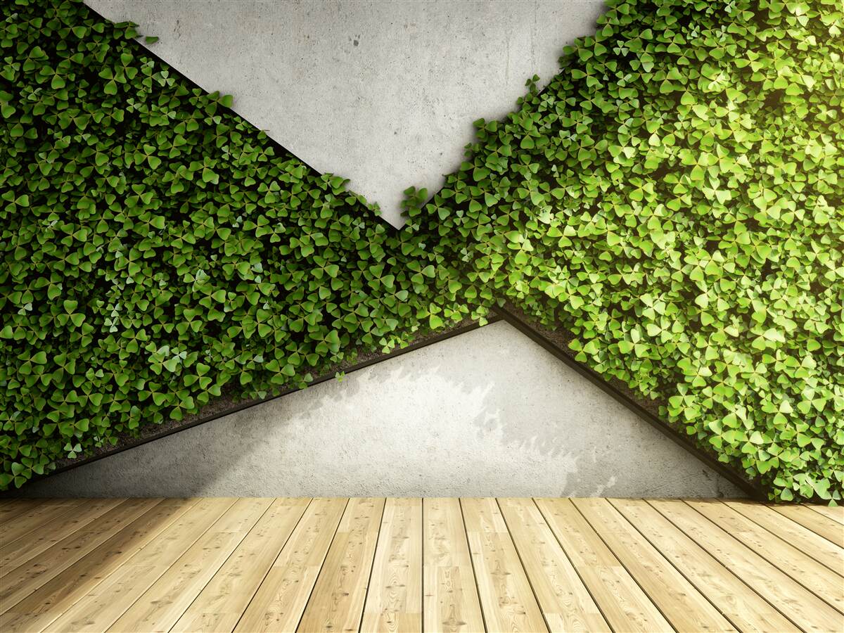 Fotobehang parketvloer en muur versierd met levende planten