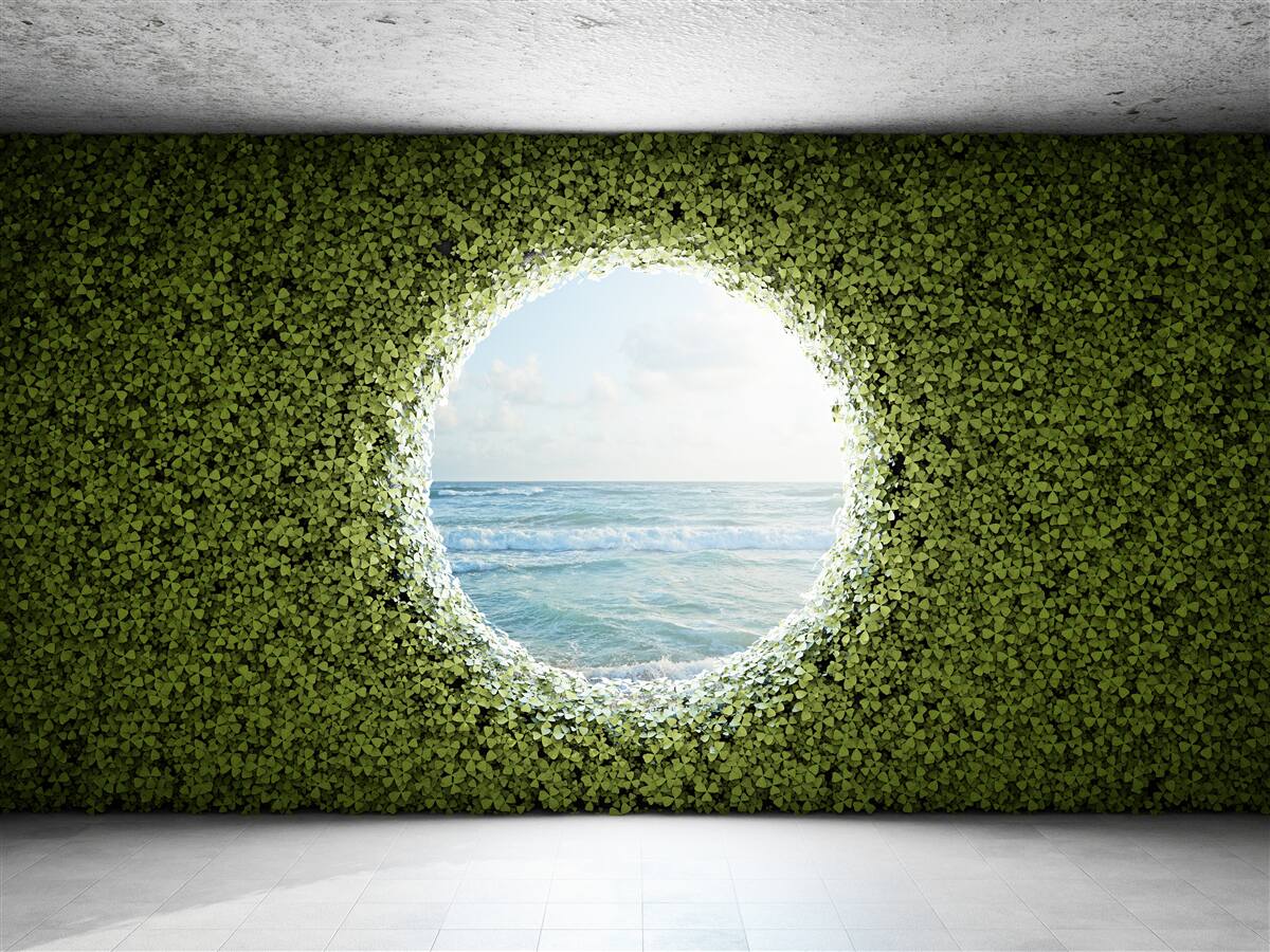 Fotobehang Muur van groene planten met een ronde opening