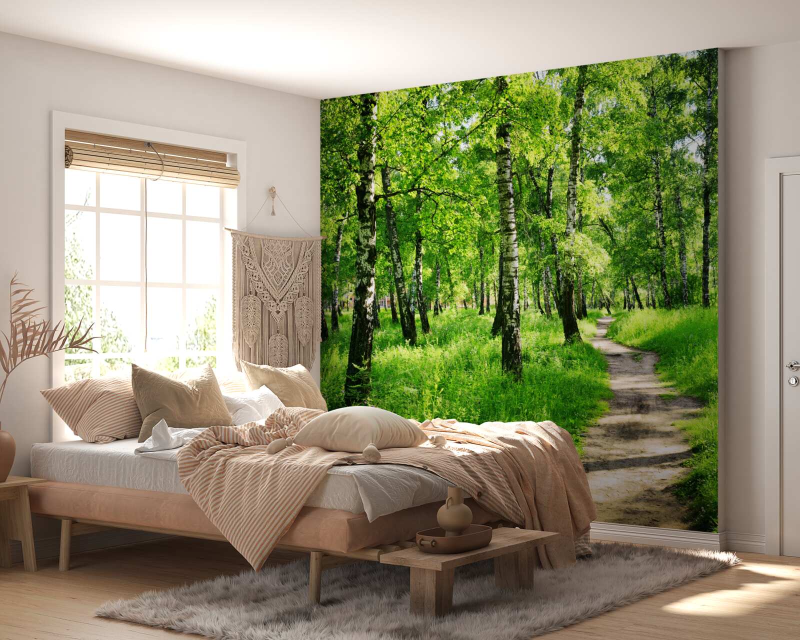 Fotobehang Pad door een berkenbos