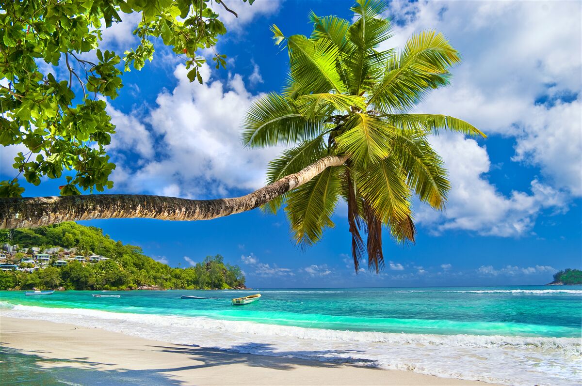 Fotobehang fascinerende natuur van de seychellen