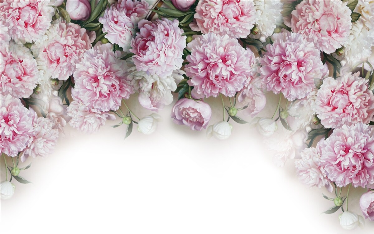 Fotobehang witroze bloemen die naar beneden vallen
