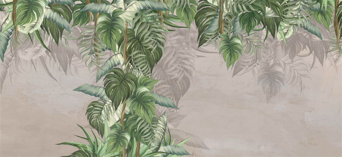 Fotobehang de bladeren van de grote monstera streven naar vocht