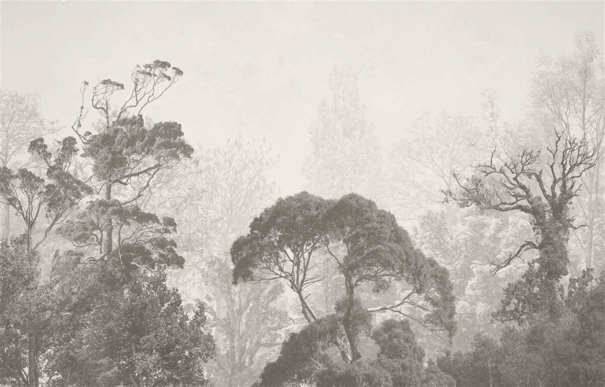 Fotobehang mist omhult de toppen van tropische bomen