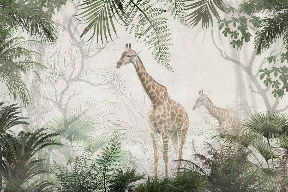 Fotobehang een familie giraffen loopt over een bospad