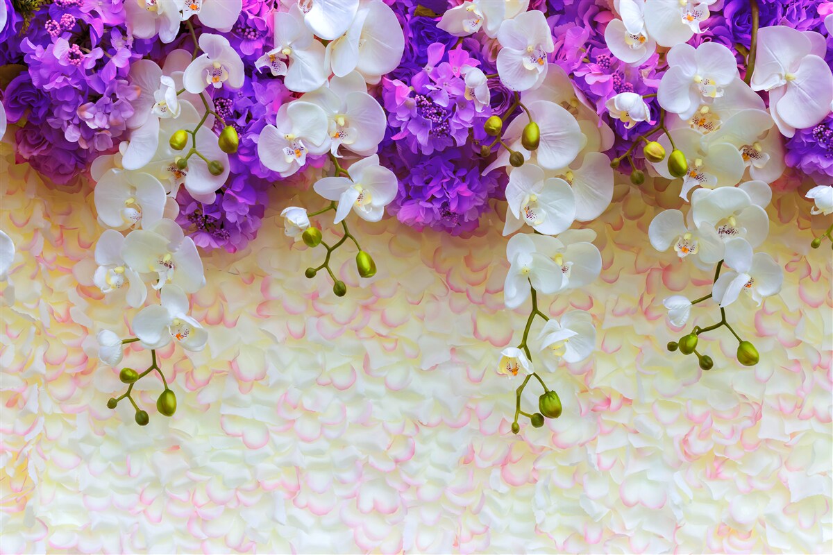 Fotobehang Sneeuwwitte orchideeën en lila bloesems