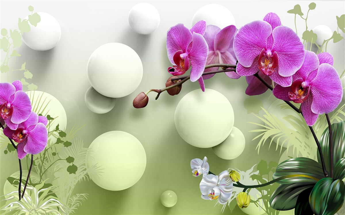 Fotobehang orchideeën in witte en paarse tinten