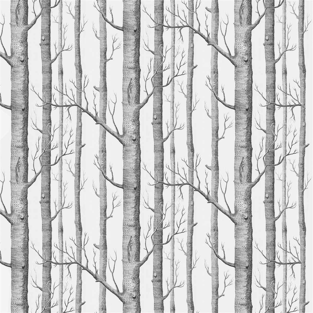 Fotobehang bomen zonder bladeren