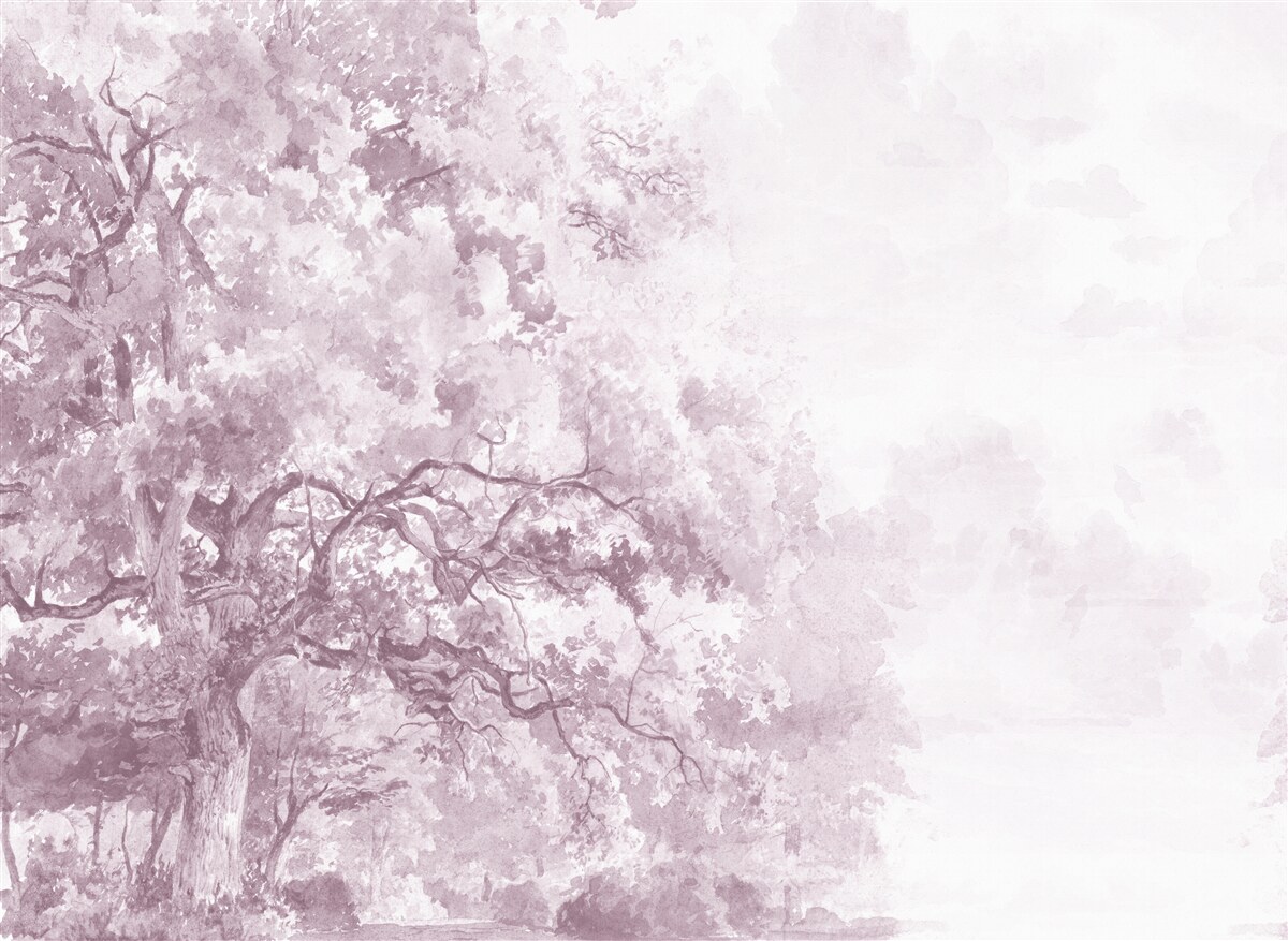 Fotobehang het ochtendbos is in mist gehuld