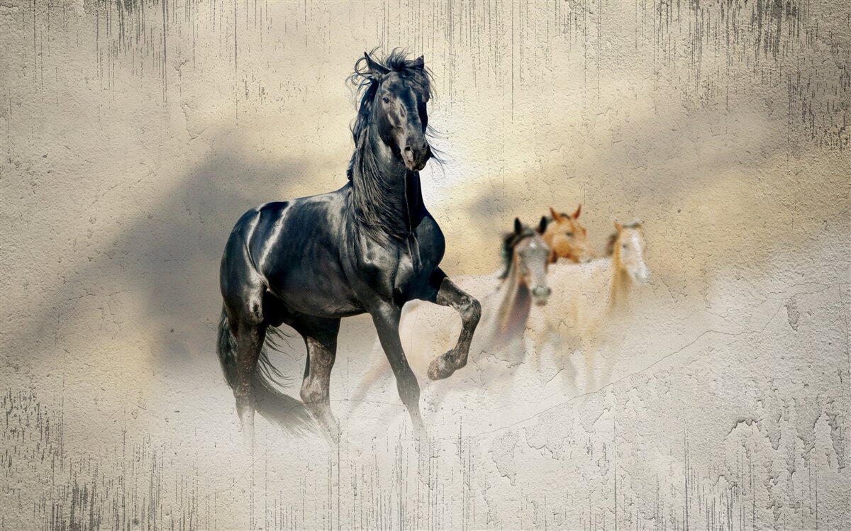 Fotobehang een kudde paarden graast op een uitgestrekte weide