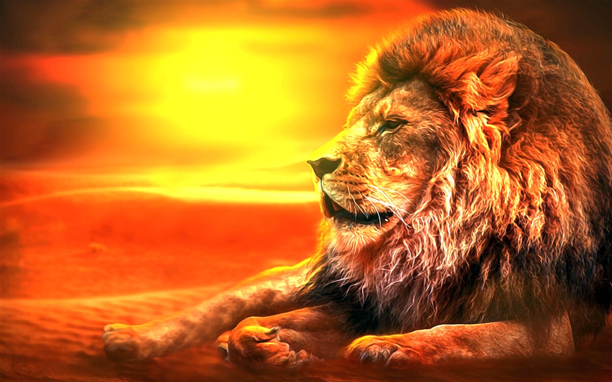 Fotobehang een rijpe tijger vergezelt het verdwijnen van de zon