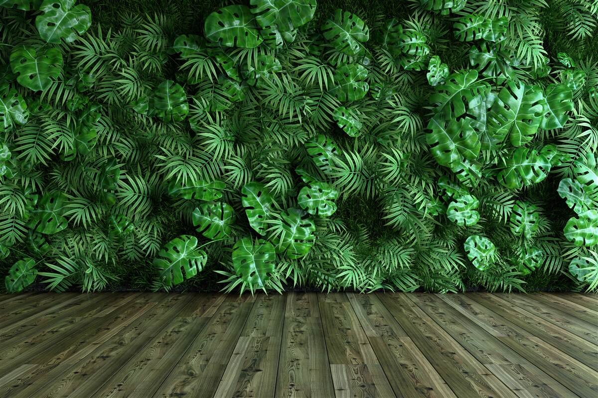Fotobehang groen, planten en bladeren