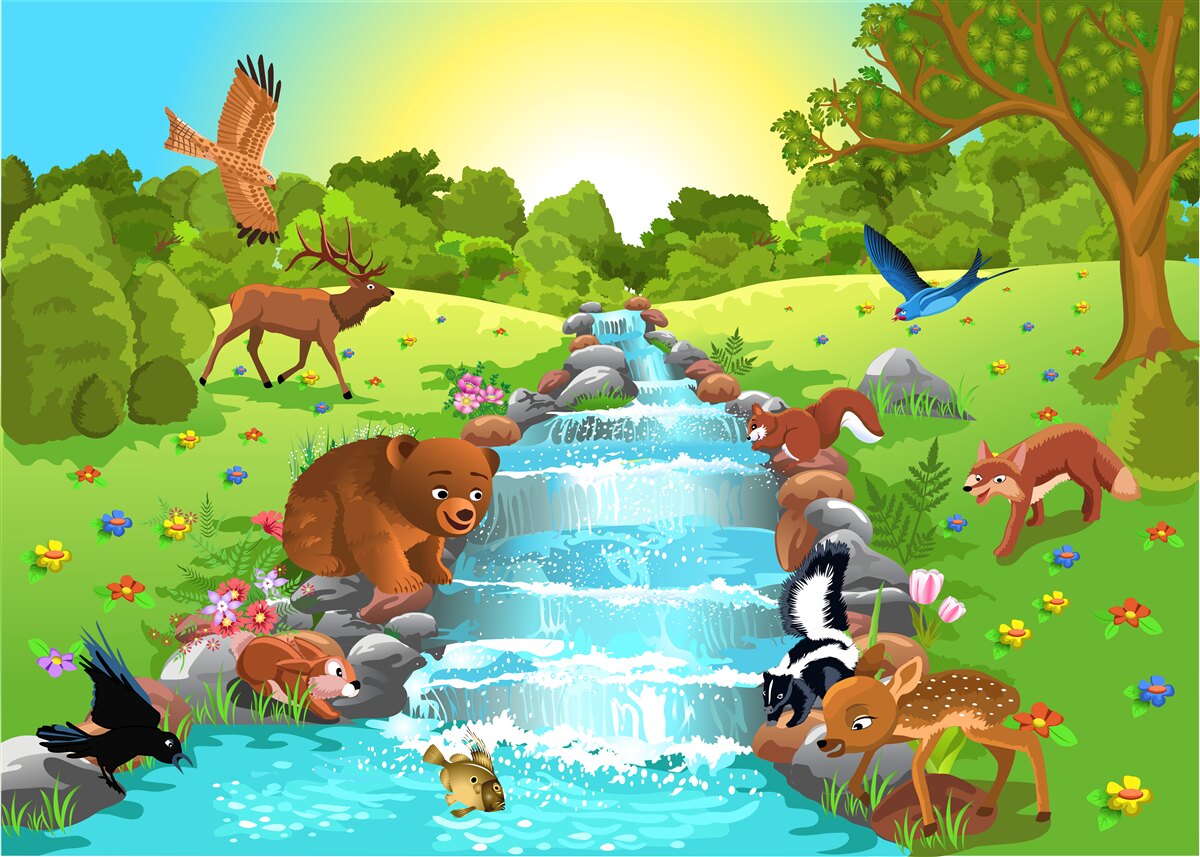Fotobehang dieren bij de waterbron