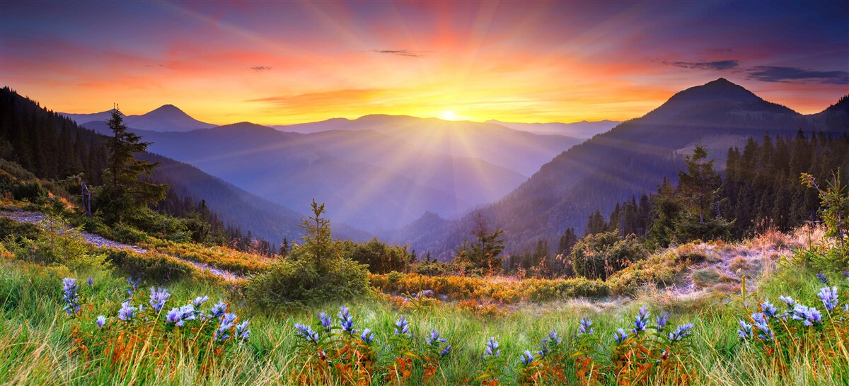 Fotobehang de zon gaat onder boven een alpenweide