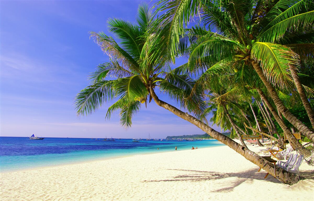 Fotobehang zandstranden met palmbomen en een kalme oceaan