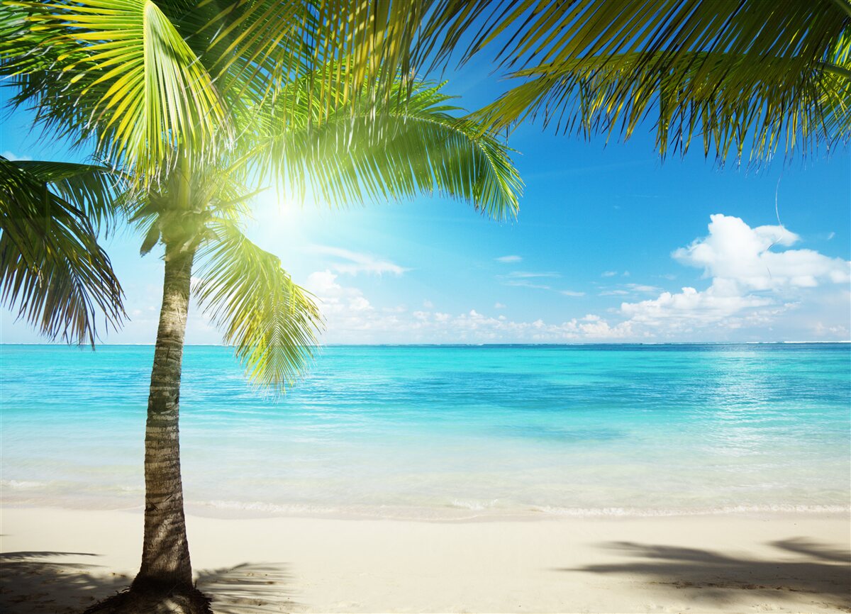 Fotobehang rustig exotisch strand versierd met palmbomen