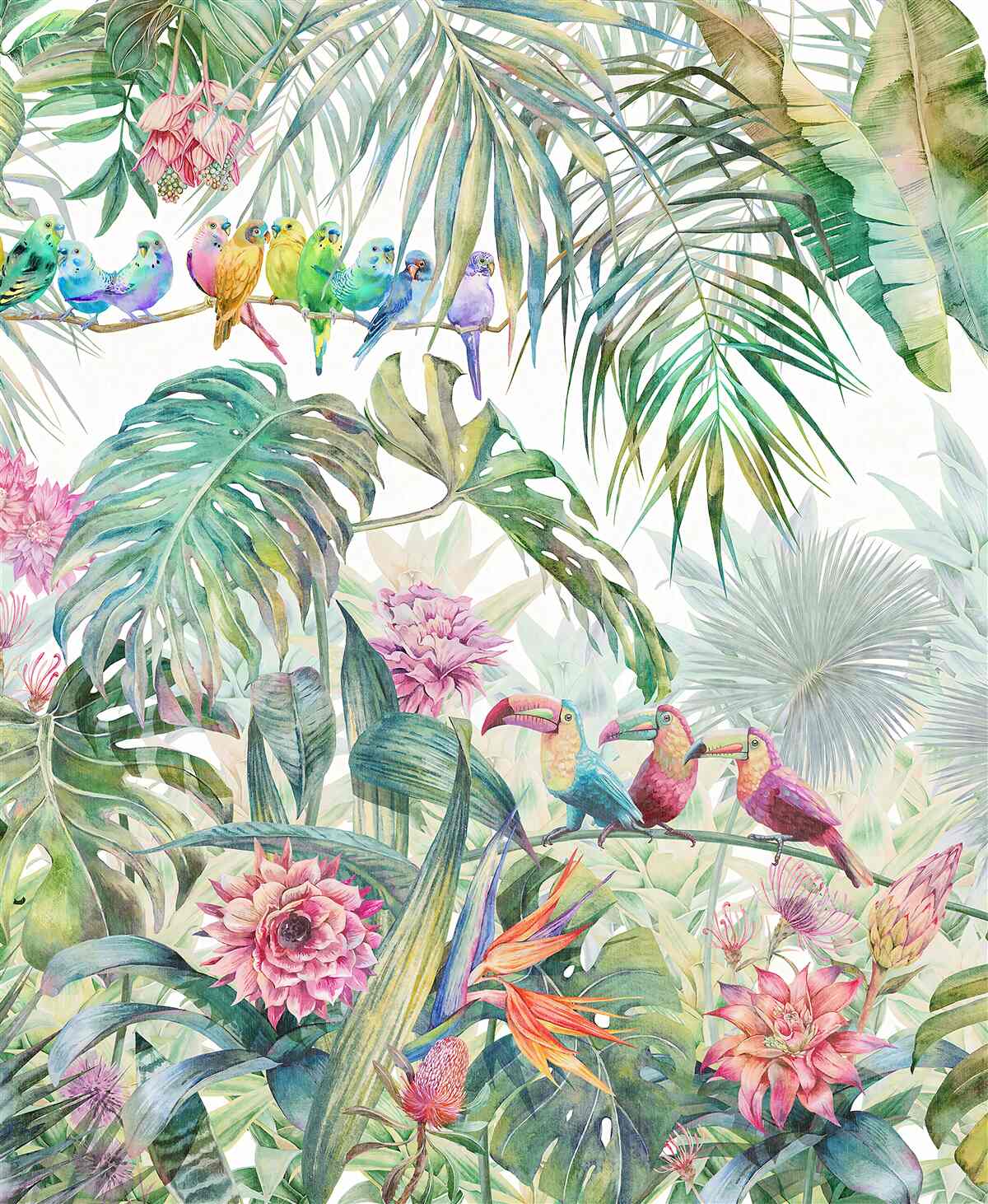 Fotobehang exotische planten en kleurrijke vogels