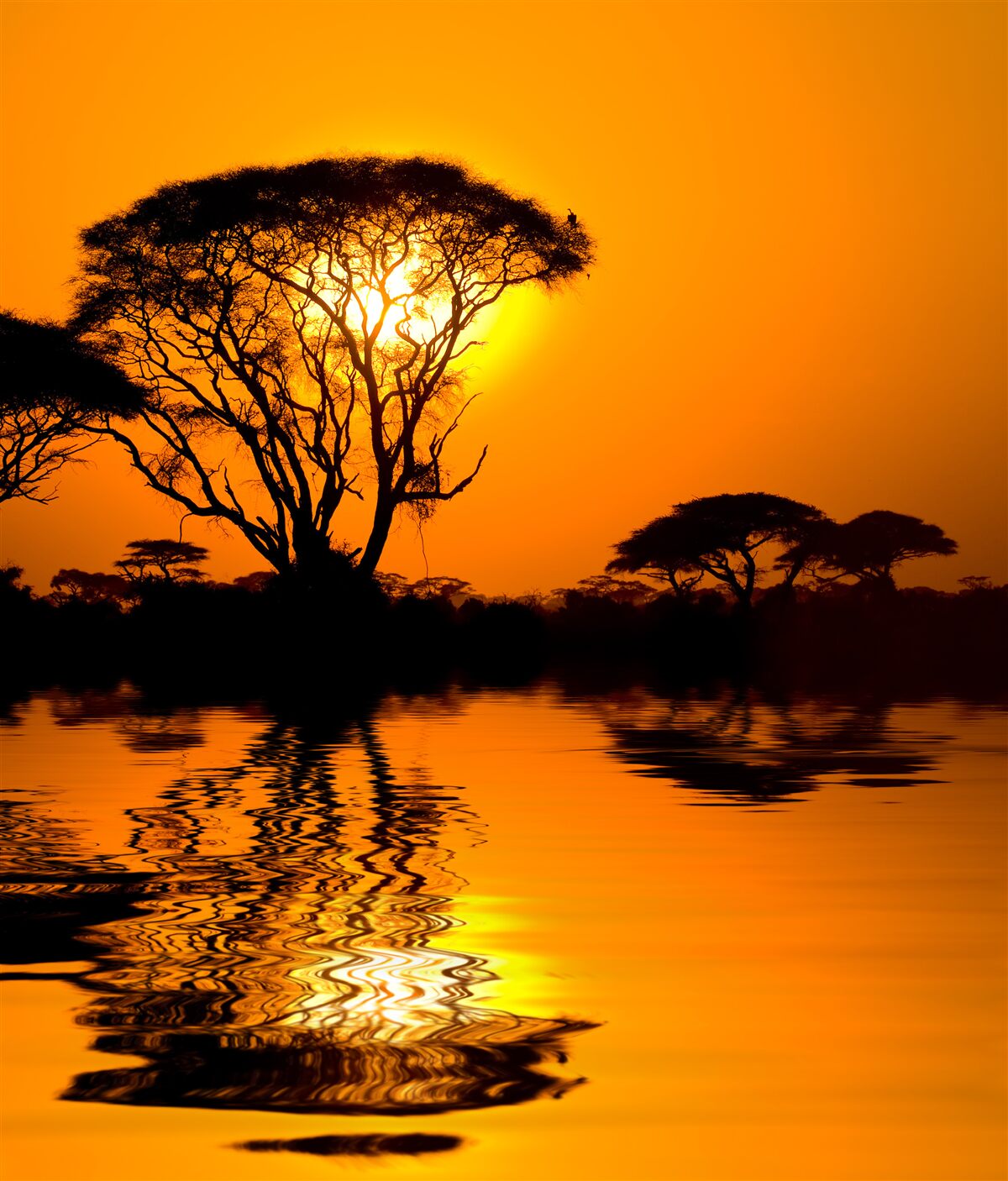 Fotobehang zonsondergang in de woestijn weerspiegeld in water