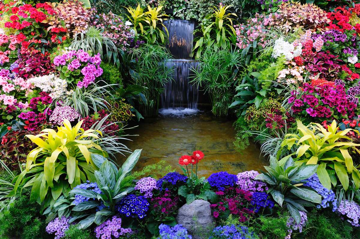 Fotobehang tropische bloemen naast een bergwaterval