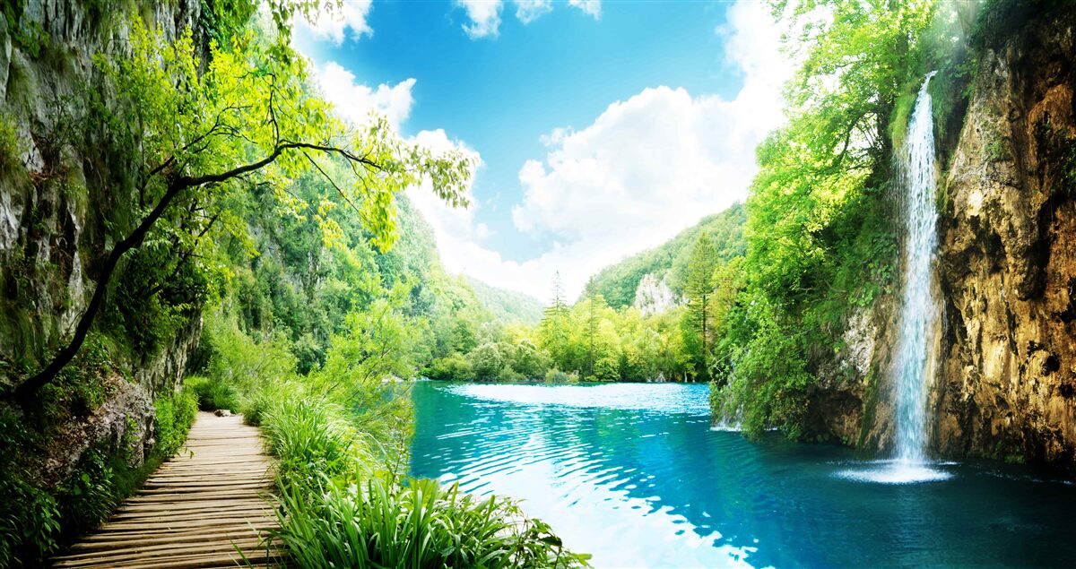 Fotobehang hoge waterval en pad door bosbomen