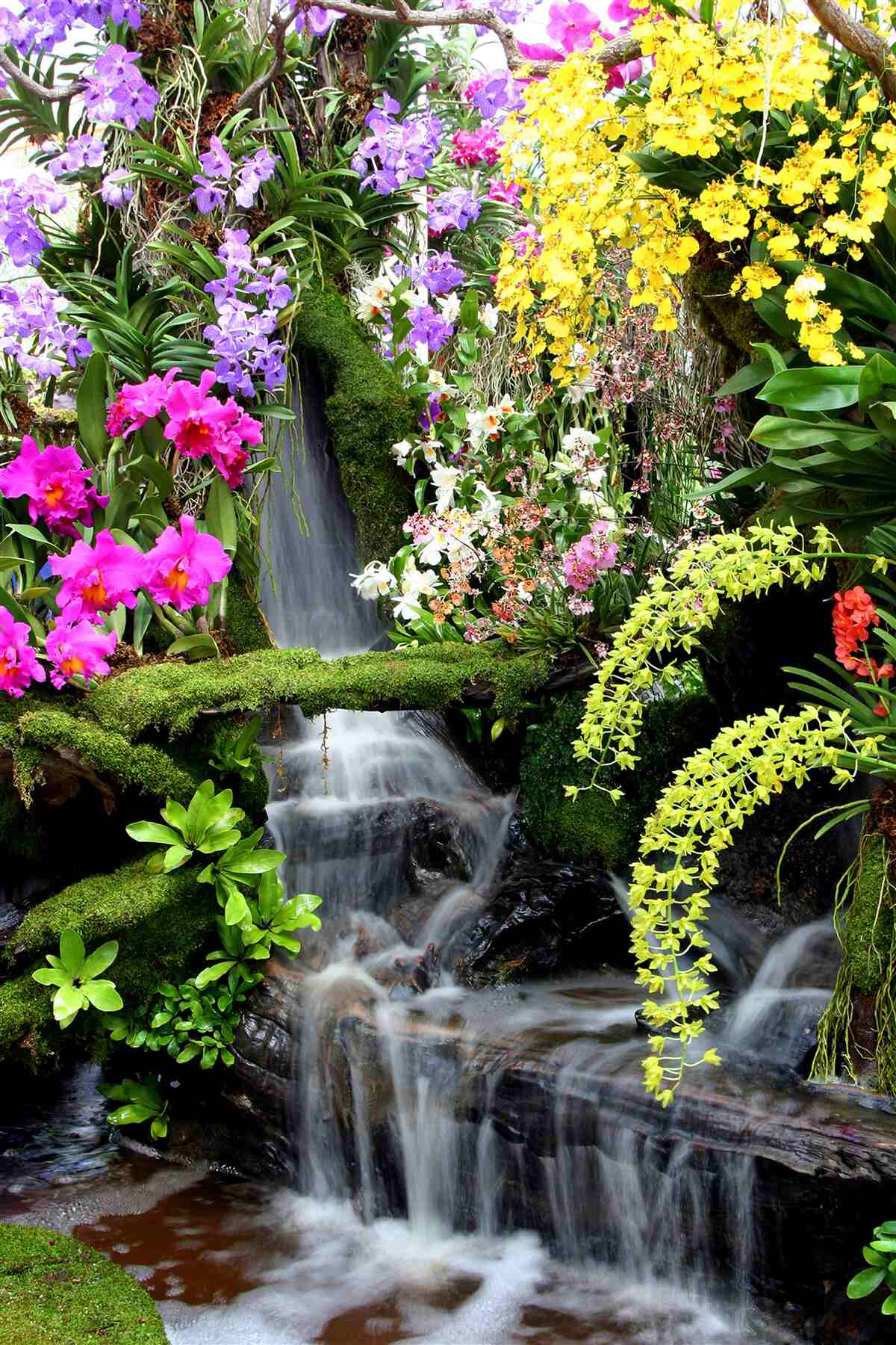Fotobehang een waterval te midden van rijke bloementinten