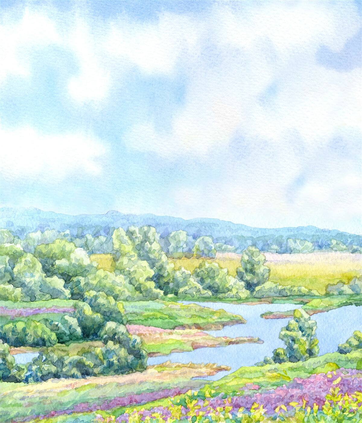 Fotobehang een heldere dag in een weide vol bloeiende planten