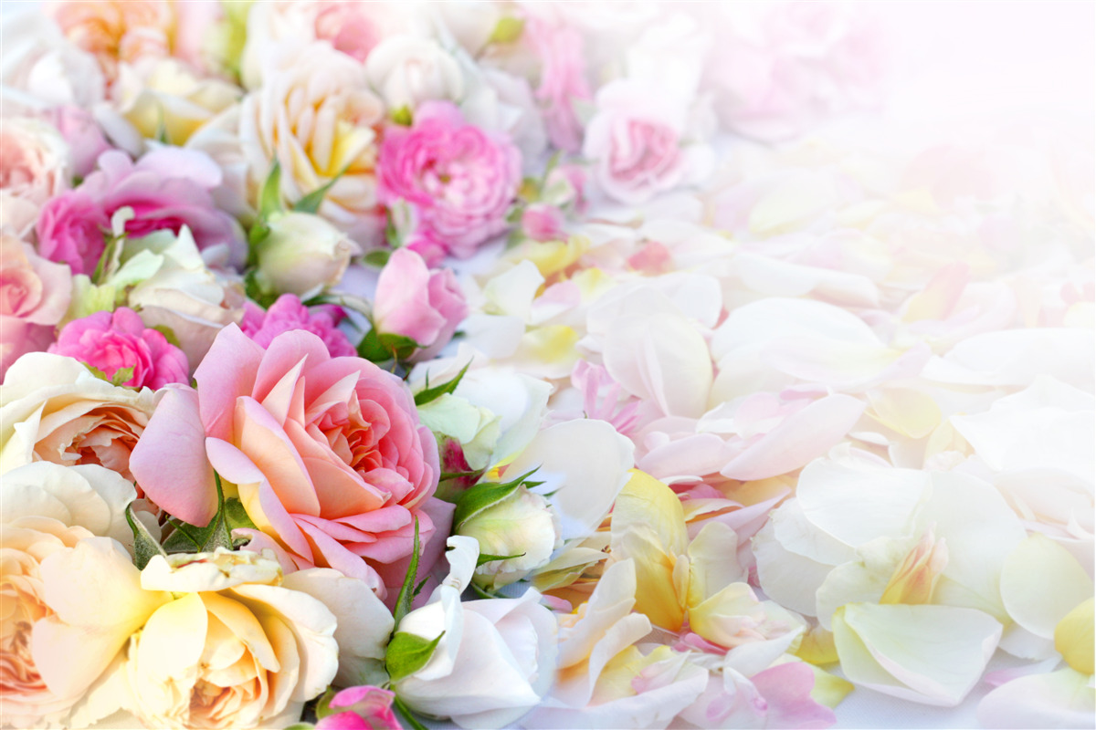 Fotobehang boeket weelderige zomerbloemen