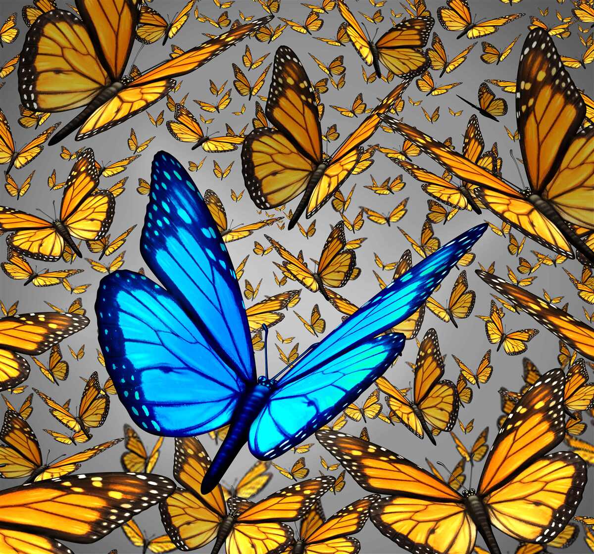 Fotobehang de blauwe vlinder onderscheidt zich duidelijk van de gele