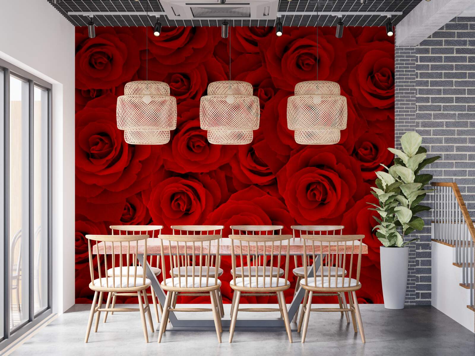 Fotobehang veel rode rozen