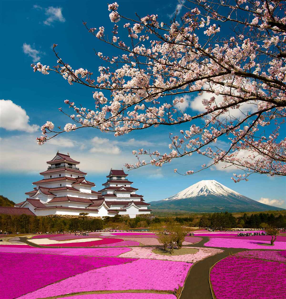 Fotobehang Japanse tuinen in de zon