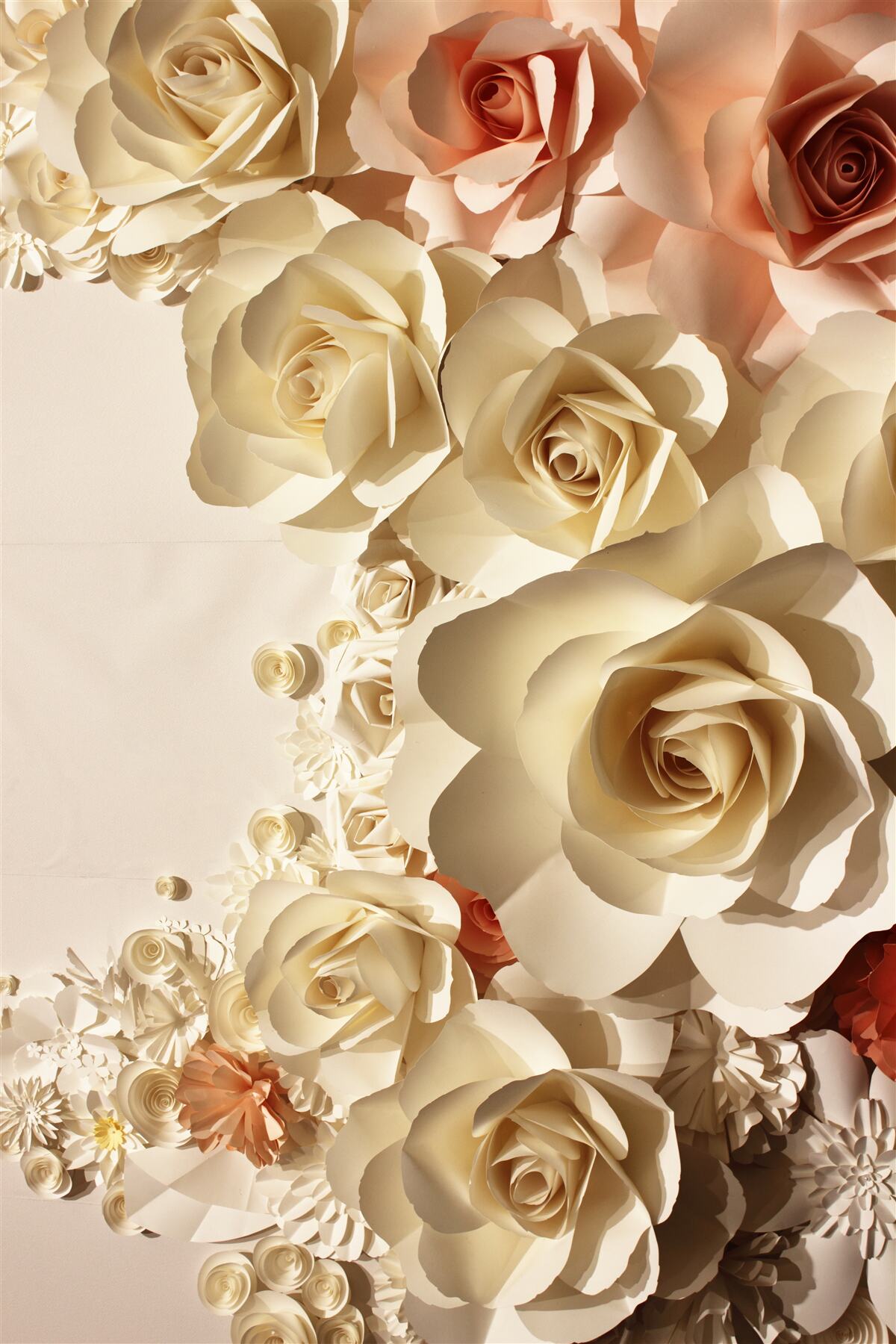 Fotobehang witte en roze gipsbloemen