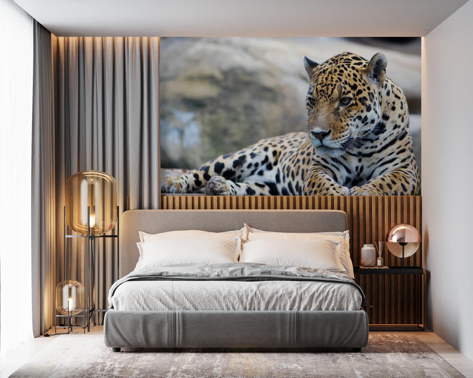 Fotobehang luipaard ontspant op houten oppervlakken
