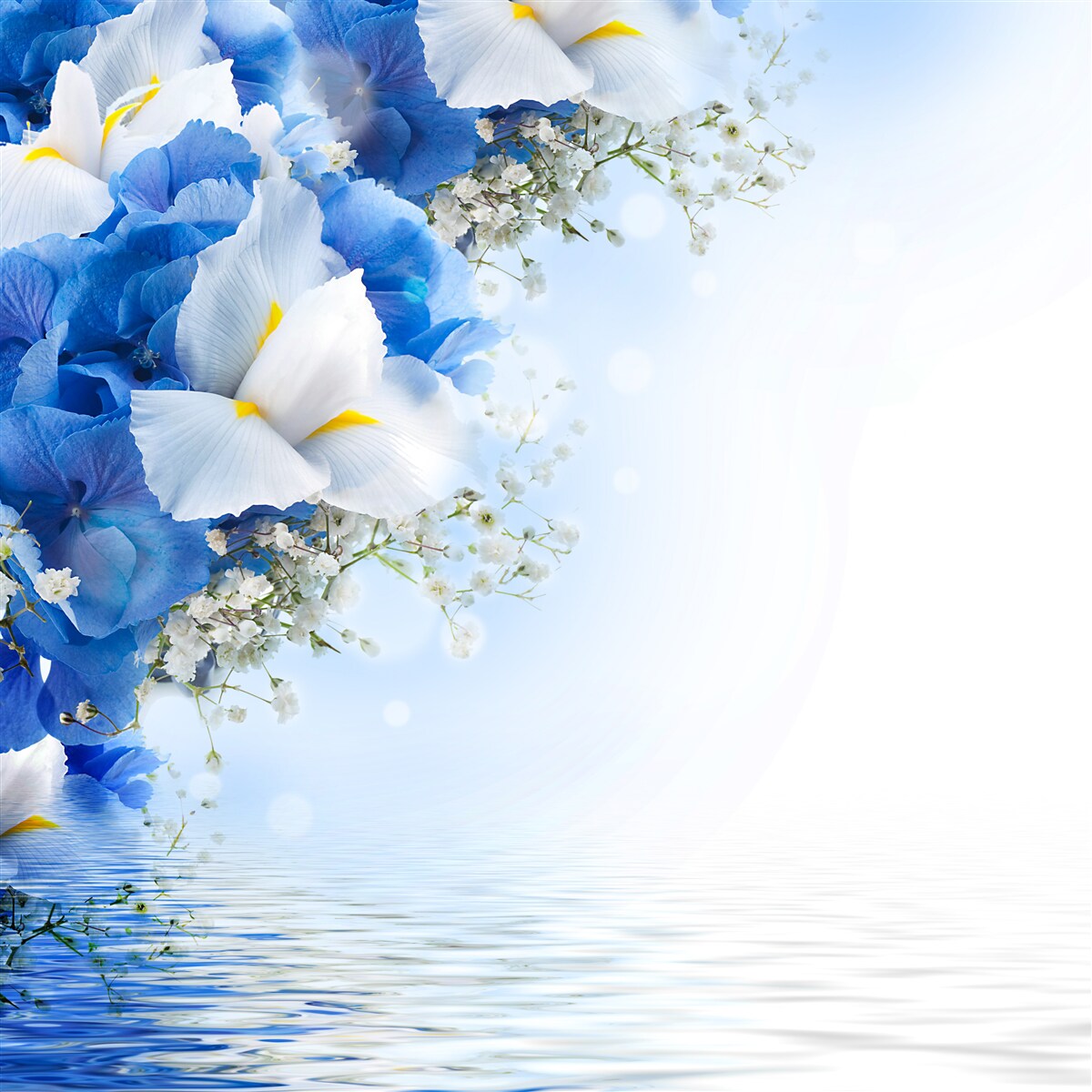 Fotobehang blauwe verf en witte knoppen bij de vijver