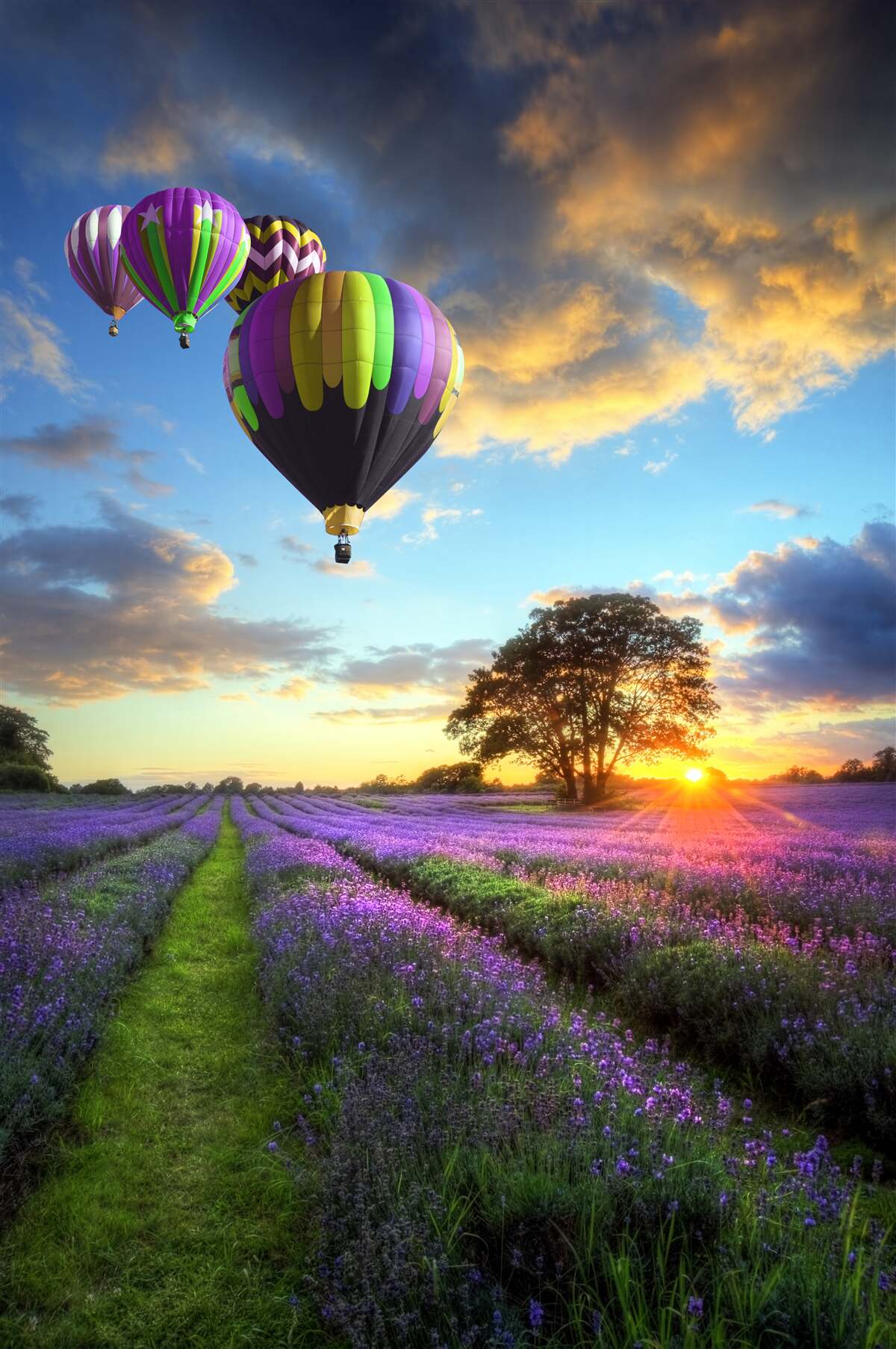 Fotobehang een heldere heteluchtballon zwevend boven een lavendelveld