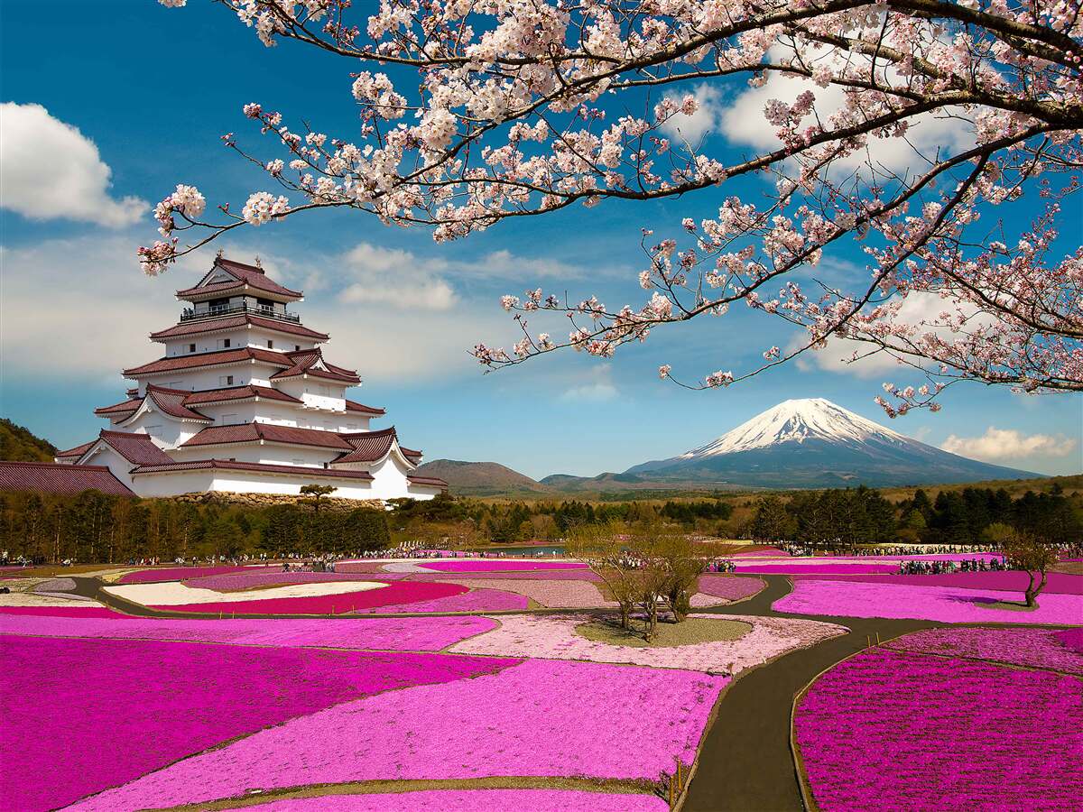 Fotobehang bij het Japanse huis zijn weelderige tuinen met tulpen