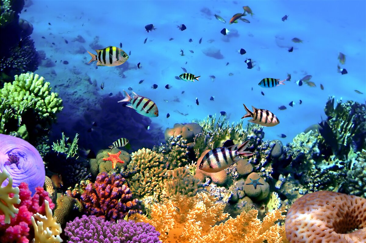 Fotobehang gestreepte vissen in de diepten van de oceaan