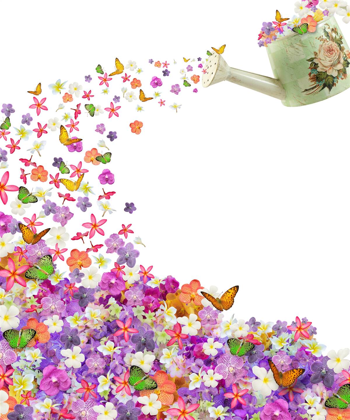 Fotobehang waterschaal met zomerbloemen en vlinders