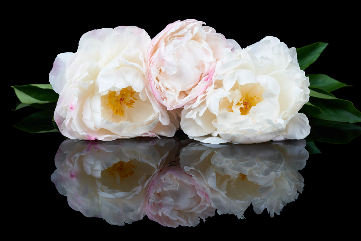 Fotobehang boeket witte bloemen weerspiegeld in het water