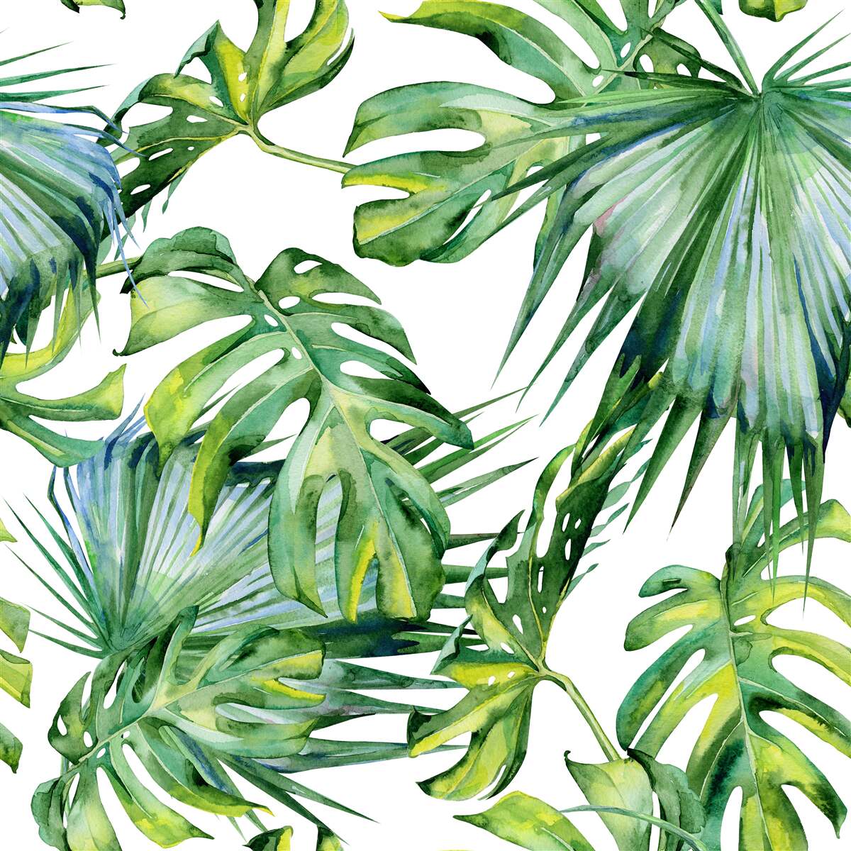 Fotobehang monstera verlaat de tropen