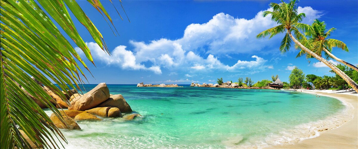 Fotobehang tropisch strand aan een turquoise zee