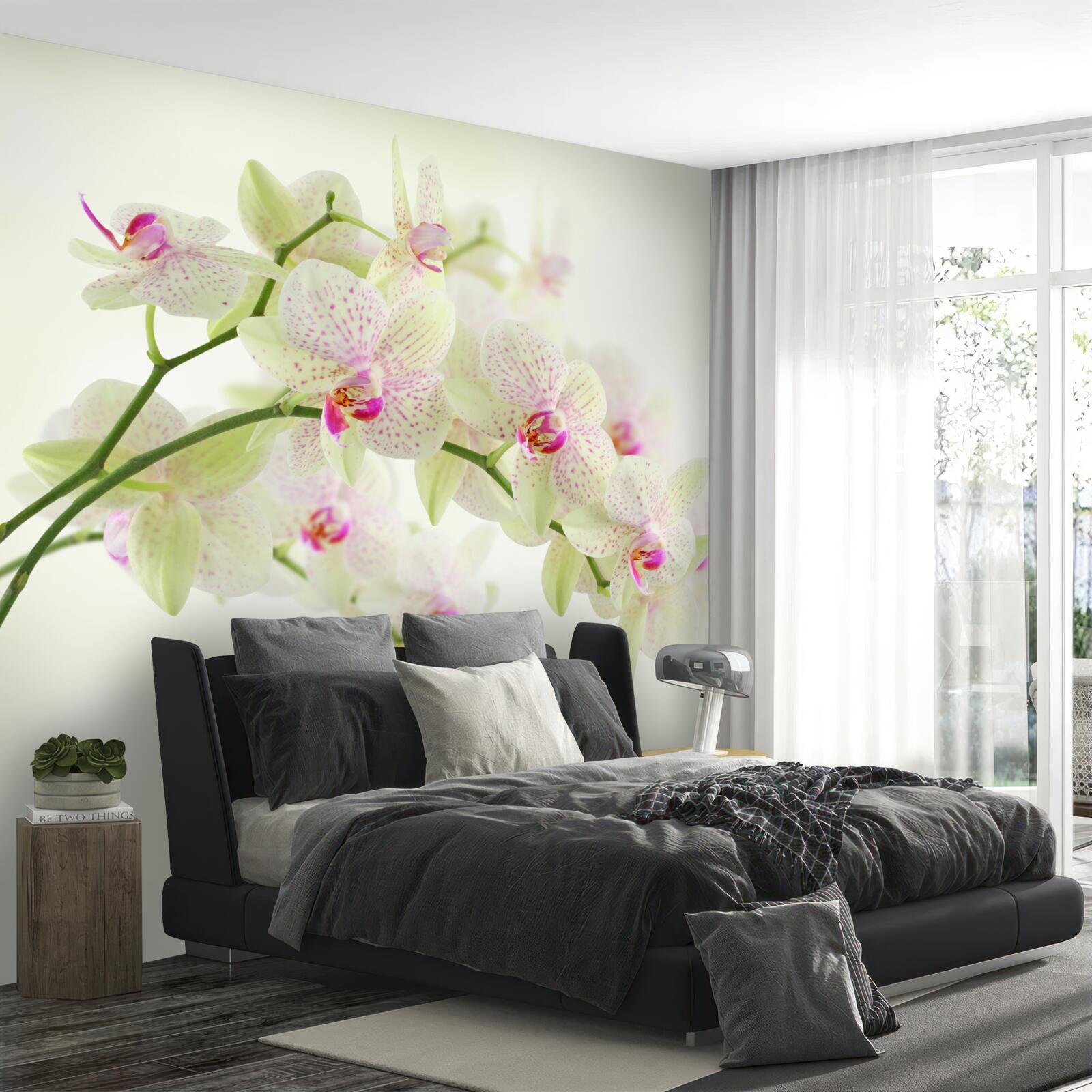 Fotobehang ongewoon weelderige takken met orchideeënknoppen
