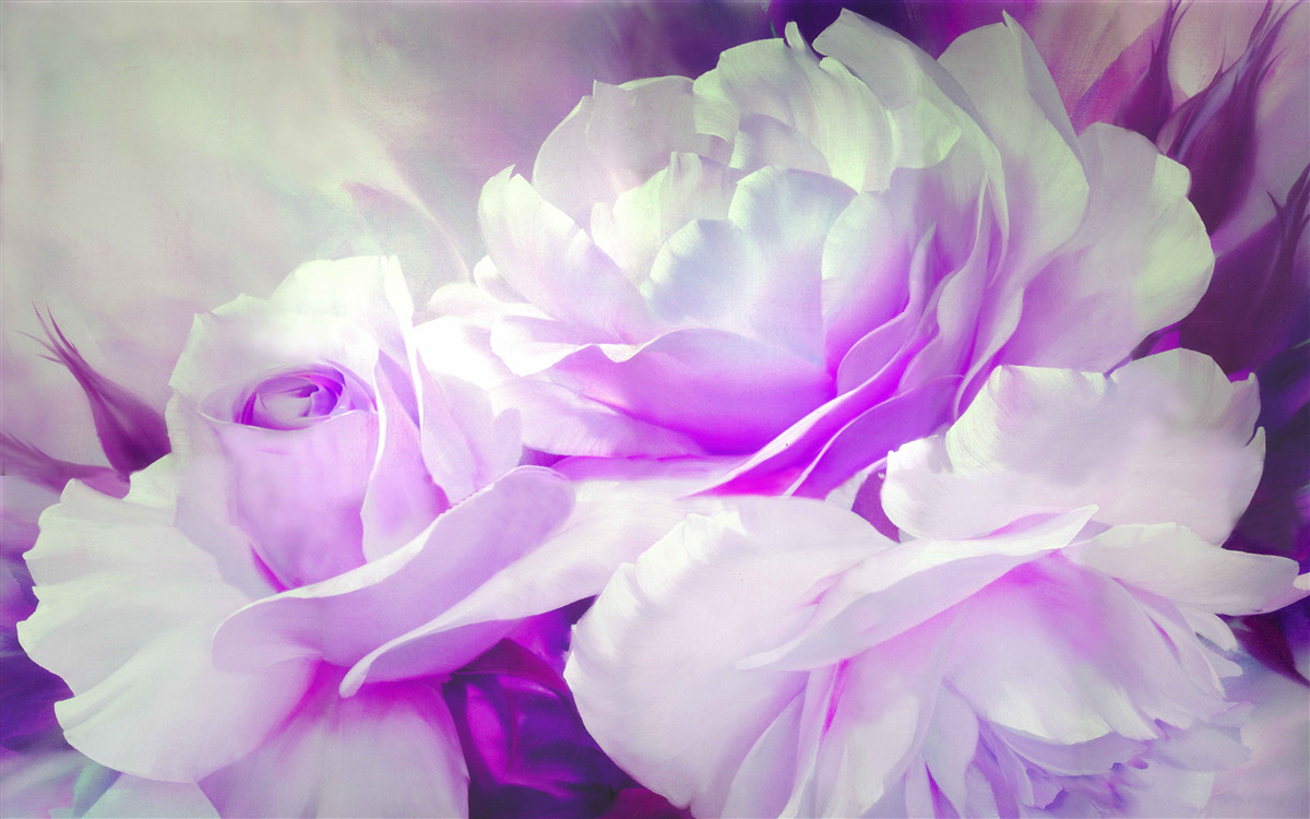 Fotobehang de bloemen zijn wit met een vleugje lila en flitsen