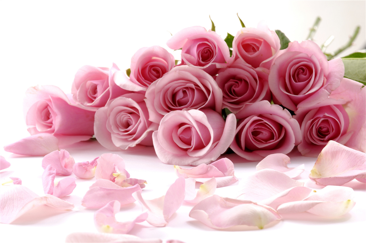 Fotobehang delicate roze rozen met bloemblaadjes dichtbij het wateroppervlak
