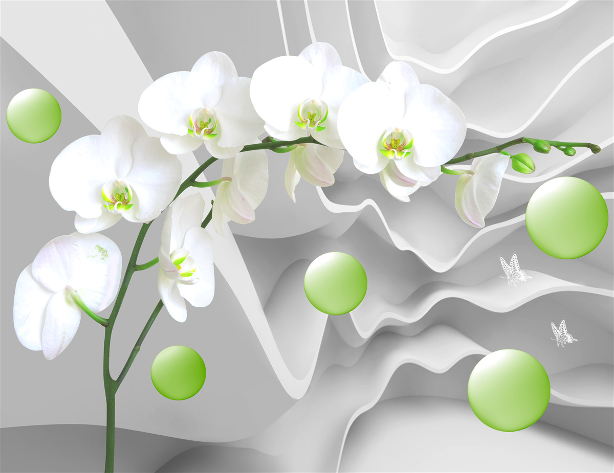 Fotobehang stiekem drijvende groene ballen en bleke orchidee