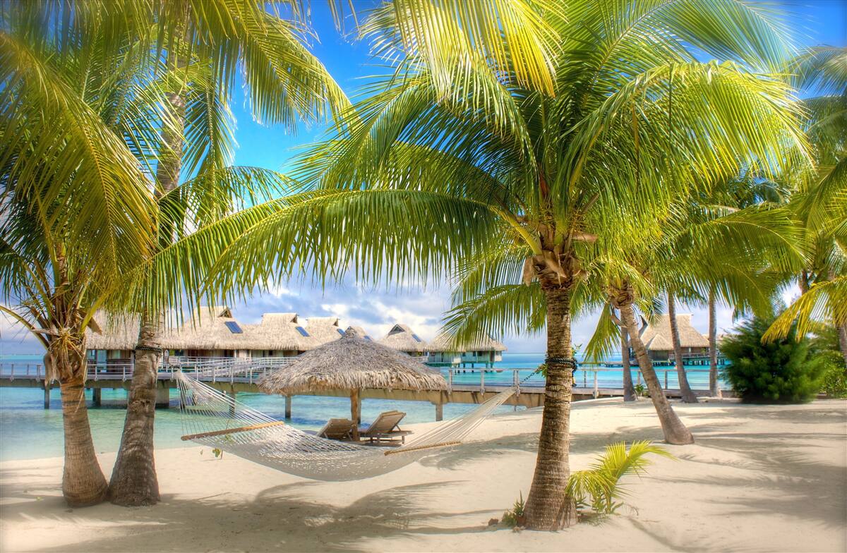 Fotobehang weelderige palmbomen en paviljoens langs de kust